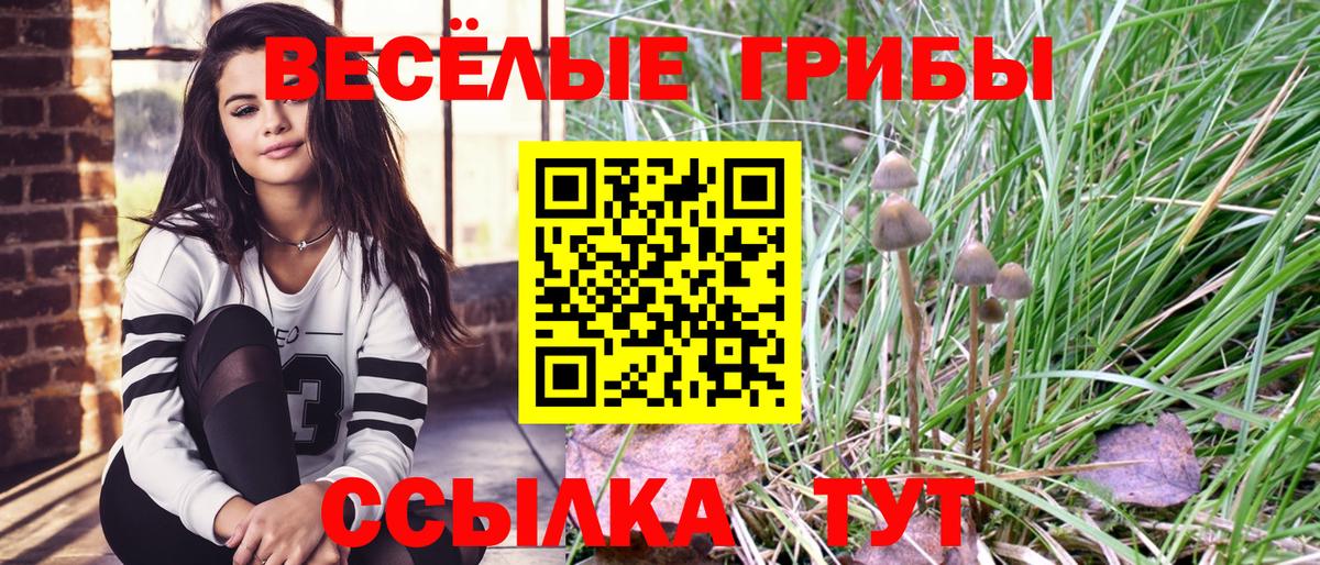 Галлюциногенные грибы прущие грибы  Галлюциногенные грибы ЛСД  цены   Вход с VPN  Великий Новгород 